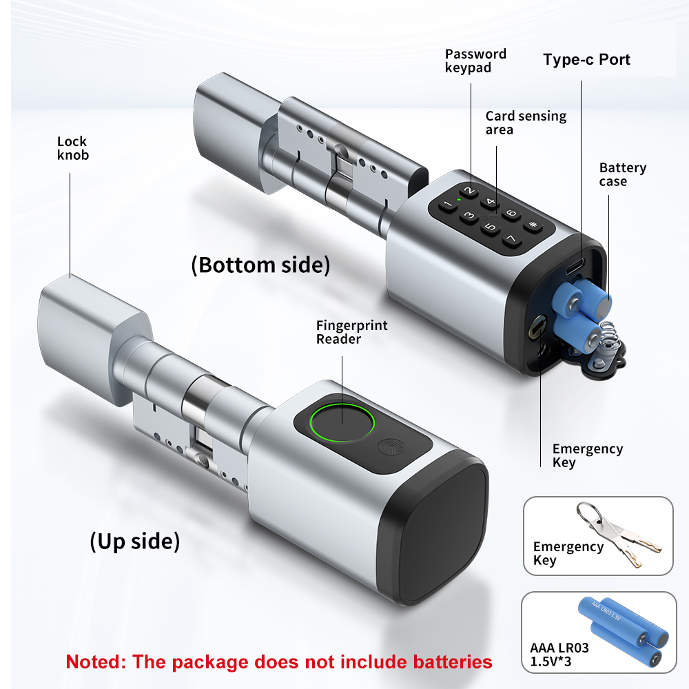 RAYKUBE V1 Tuya BLE TT Kilidi  - Home Automation System Diy incelemesi ve fiyatı